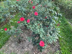 -人民公园(罗湖区)