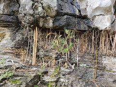 -高荡千年布依古寨旅游景区