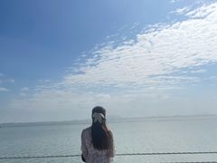 -贡湖湾湿地公园