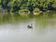 -厦门悦华酒店