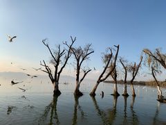 -捞渔河湿地公园