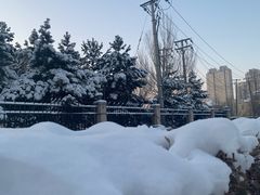 鱼丸虾肉馄饨-手劲鱼丸馄饨铺(哈一百店)