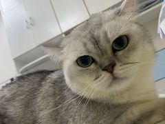 -中农国际动物医院24小时·猫科·骨科·急重症中心