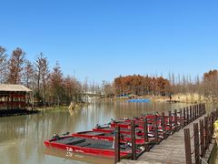 -上海长兴岛郊野公园