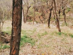 -湖洞水自然风景区