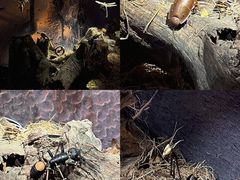 -宁波科学探索中心