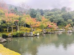-天龙寺