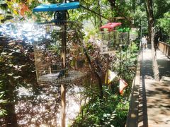 -栾川竹海野生动物园