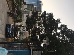 -西涌国际滨海旅游区