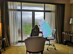 -重庆长寿碧桂园凤悦凤凰酒店