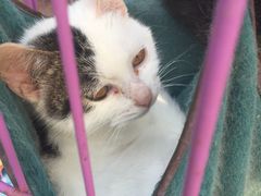 -万源龙顺度假庄园生态观光园