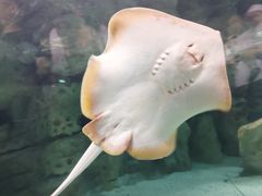 -珠海长隆海洋王国