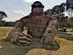 -嘉北郊野公园