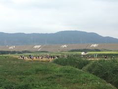 -光明小镇欢乐田园