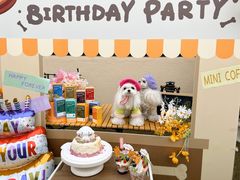 -吾象走甜·生日蛋糕·甜品台茶歇