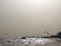 -老虎石海上公园