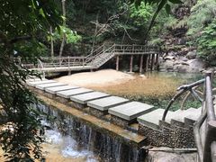 -祁门牯牛降观音堂风景区