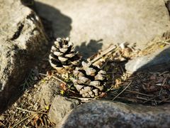 -鹫峰国家森林公园