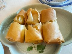 三文鱼沙律春卷-正佳广场万豪酒店-粤菜餐厅·点心·海鲜·聚餐