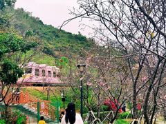 -小南山公园