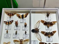 -烟台市博物馆