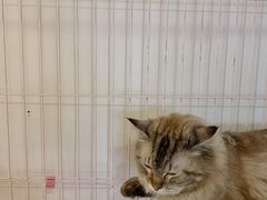 -董小姐咖妃·咖啡·简餐.意面(松江大学城店)