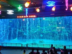 -烟台海昌鲸鲨海洋公园