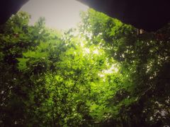 -星鸿社重庆老火锅