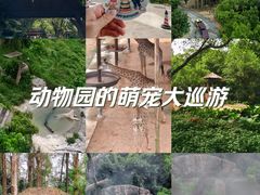-广州长隆野生动物世界