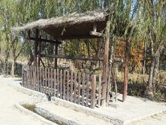 android_upload_pic-溱湖国家湿地公园