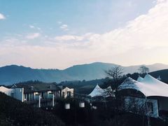 -帐篷客·溪龙茶谷度假酒店