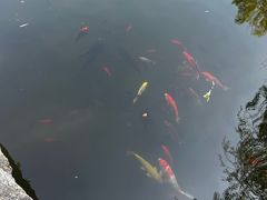 -羊亭河湿地公园