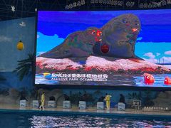 -泉城欧乐堡海洋极地世界