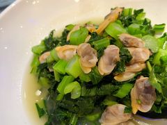 -新白鹿餐厅(百联中环店)