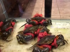-Mr. 99 Steak and Seafood Restaurant