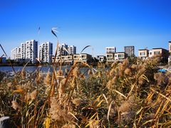 -天津东丽湖风景区
