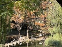 -石家庄市动物园