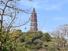-顺峰山公园