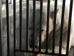 -泉城欧乐堡海洋极地世界