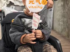-台场海滨公园船码头