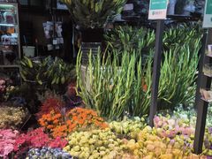 -大自然花鸟鱼虫市场