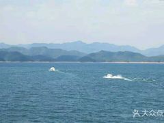 -全乐鱼馆·淳牌有机鱼直营店