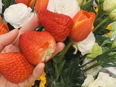 -循礼门鲜花花市(武汉循礼门店)