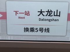 -大龙山(地铁站)