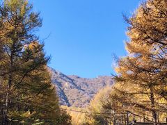 -白草畔自然风景区