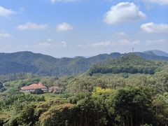 -雁南飞茶田景区