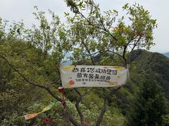 -午潮山国家森林公园