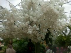 -兰陵国家农业公园