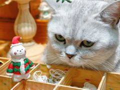 -觅时光手作·香薰·拼豆豆·陶艺DIY