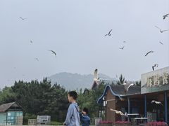 -海驴岛(荣成市)